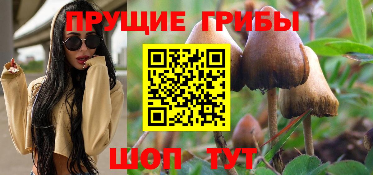 Псилоцибиновые грибы MAGIC MUSHROOMS  Вход с VPN  Рославль  Псилоцибиновые грибы Psilocybine cubensis 